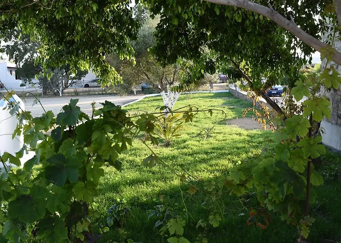 Keti Kapri Плака