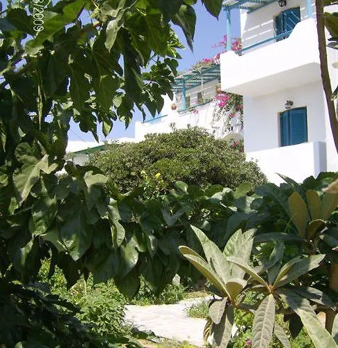 Keti Kapri Плака